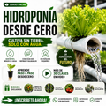 Hidroponía desde Cero — Aprende a Cultivar sin Tierra 🌱